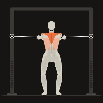 Animation : Rowing croisé