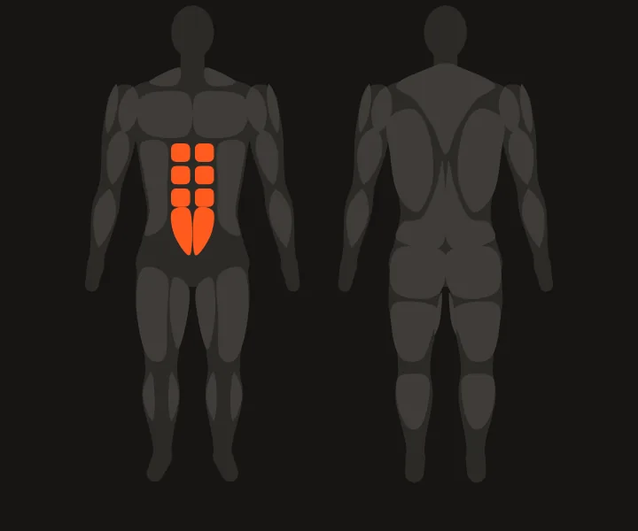 Muscle map: abs