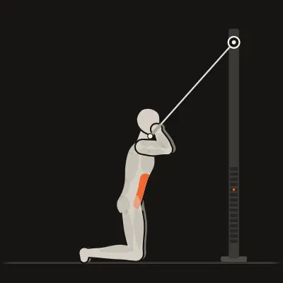 Animation: Cable Crunch