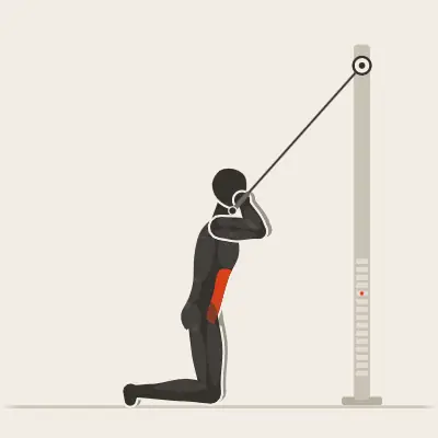 Animation: Cable Crunch