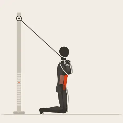 Animation: Kabel-Crunch mit Griffen