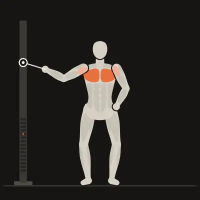 Animation: Single-Arm Cuff Fly