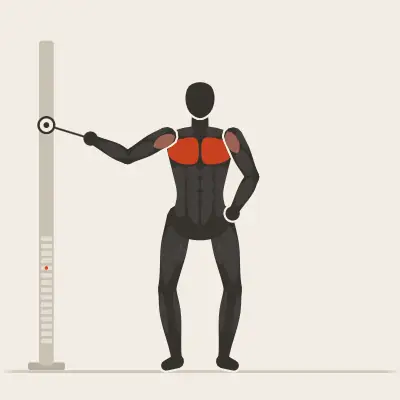 Animation: Single-Arm Cuff Fly