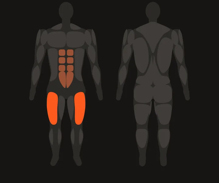 Muscle map: quads