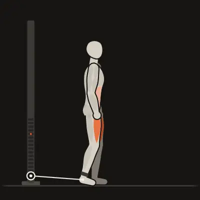 Animation: Standing Cuff Knee Raise