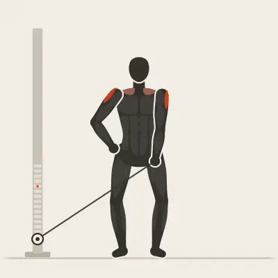 Animation: Cuff Lateral Raise
