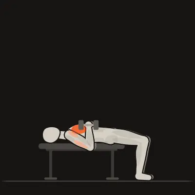 Animation: Dumbbell Bench Press