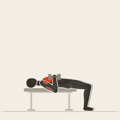 Animation: Dumbbell Bench Press