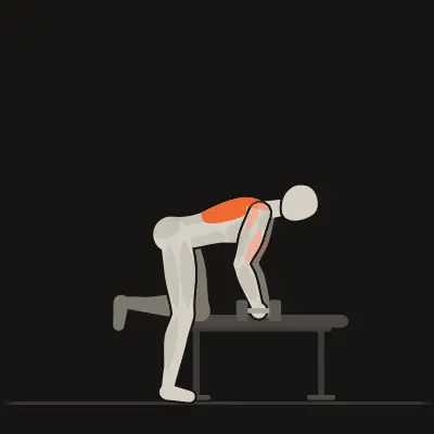Animação: Remada unilateral com halter