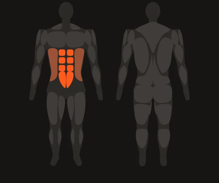 Mapa muscular: abdominales
