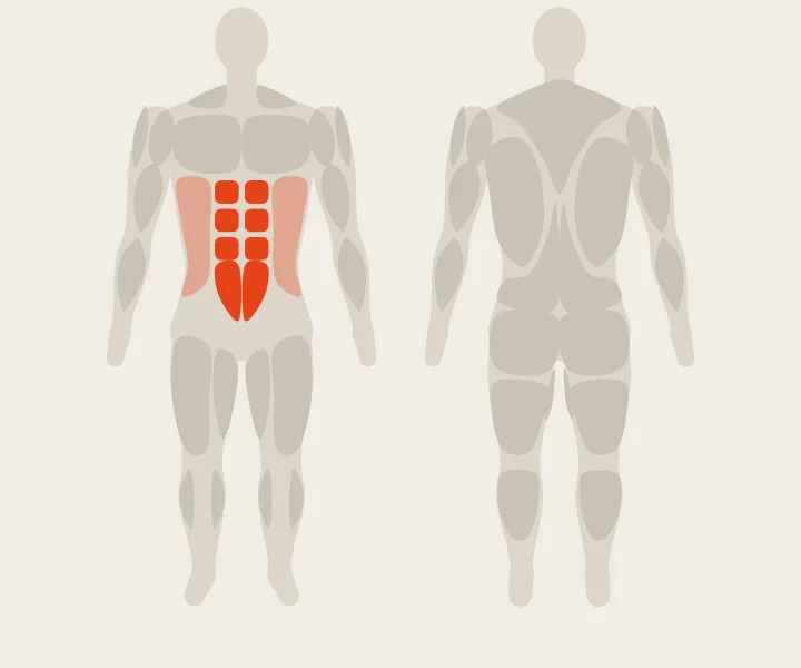Mapa muscular: abdominales