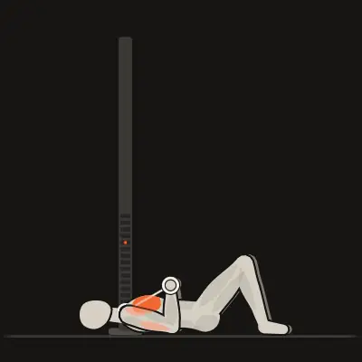Animation: Cable Floor Press