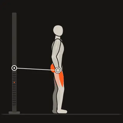 Animation: Forward Lunge, Cable from Behind