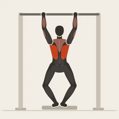 Animation: Frame-Assisted Pull-Up