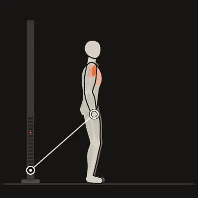 Animation: Single-Arm Cable Front Raise