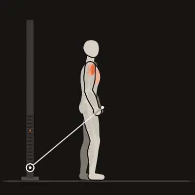 Animation: Frontheben mit Seil oder Stange