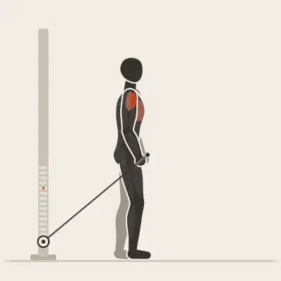 Animation: Rope or Bar Front Raise