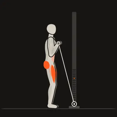 Animation: Cable Bar Front Squat