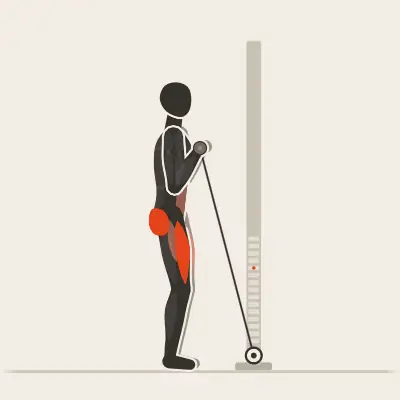 Animation: Cable Bar Front Squat