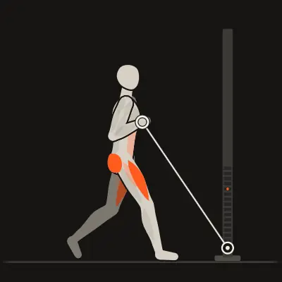 Animation: Cable Goblet Split Squat