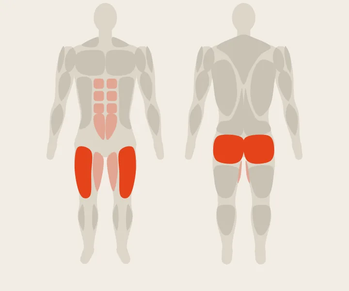 Muscle map: quads, glutes