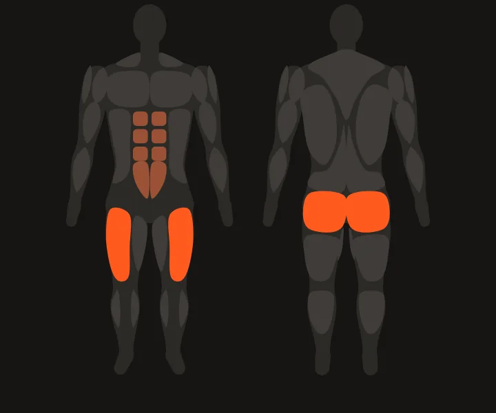 Muscle map: quads, glutes