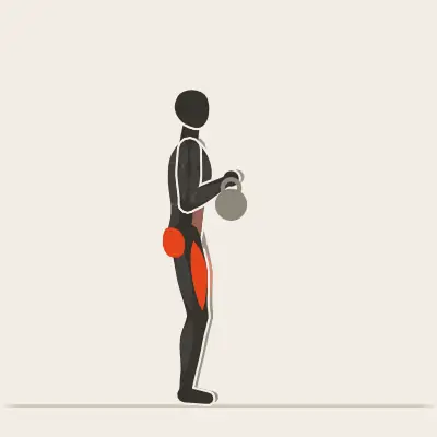 Animation: Goblet Squat