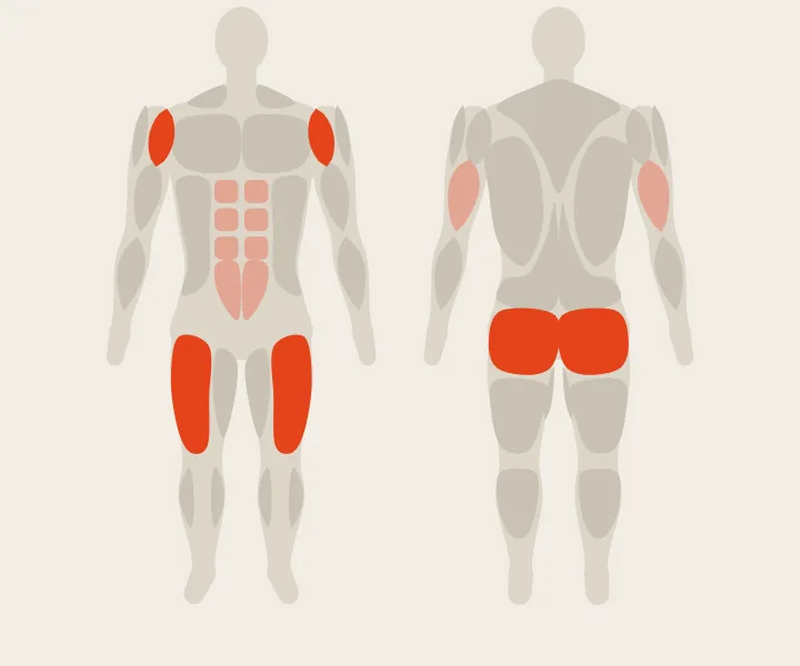 Muscle map: quads, glutes, front delts