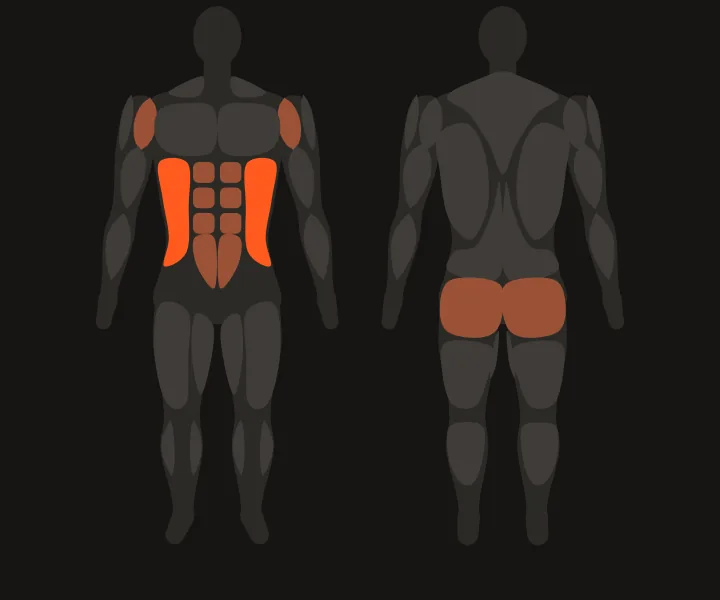 Muscle map: obliques