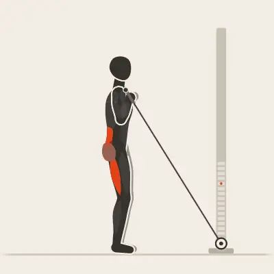 Animation: Rope Good Morning