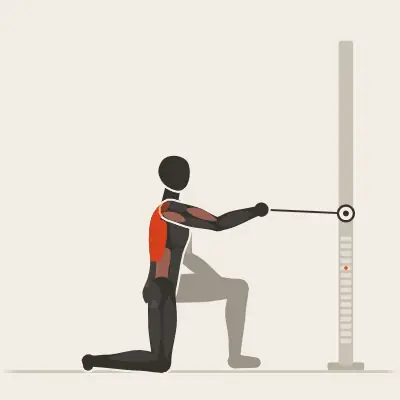 Animation: Half-Kneeling Single-Arm Row