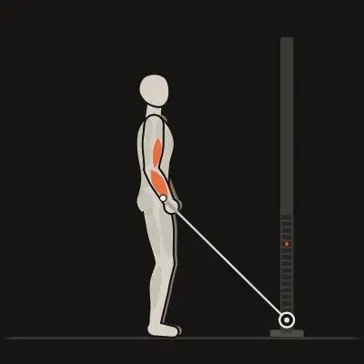 Animación: Curl martillo con cuerda