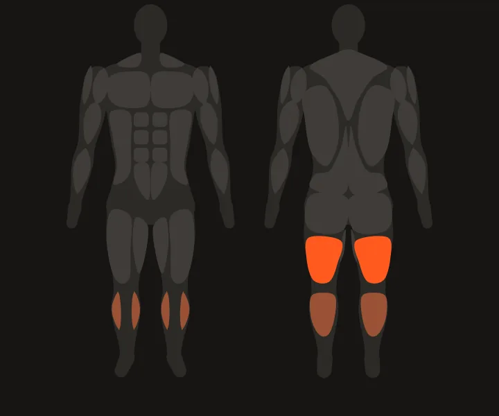 Spierkaart: hamstrings