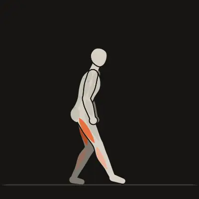 Animatie: Hamstrings rekken