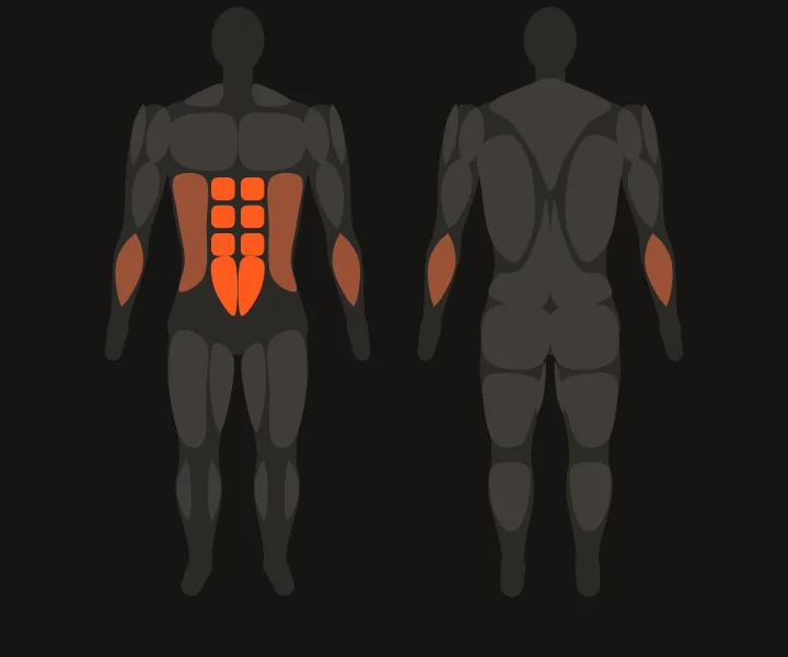 Muscle map: abs