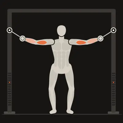 Animation: High Cable Curl