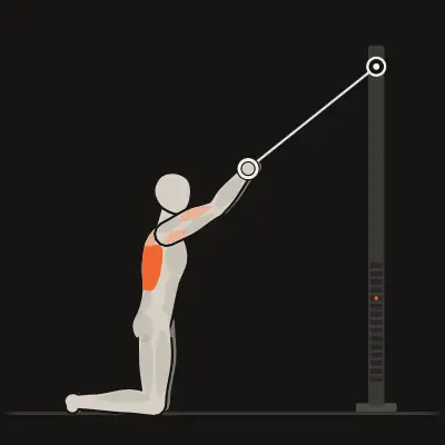 Animatie: Knielend hoog roeien