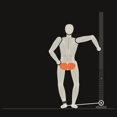 Animation: Cable Hip Abduction