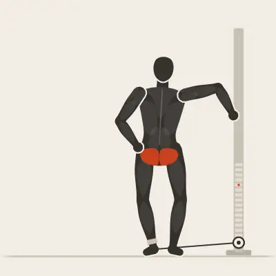 Animation: Cable Hip Abduction