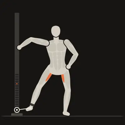 Animation: Cable Hip Adduction