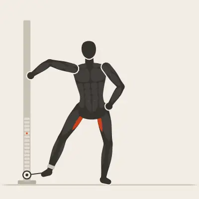 Animation: Cable Hip Adduction