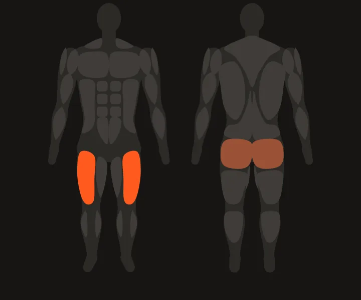 Muscle map: quads