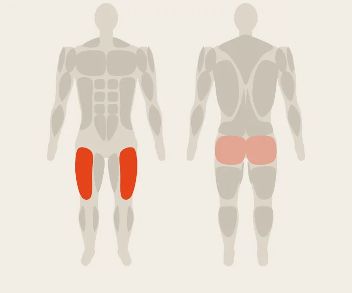 Muscle map: quads