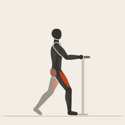 Animation: Standing Hip Flexor Stretch