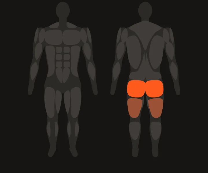 Muscle map: glutes