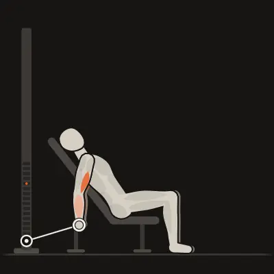 Animation: Incline Cable Curl