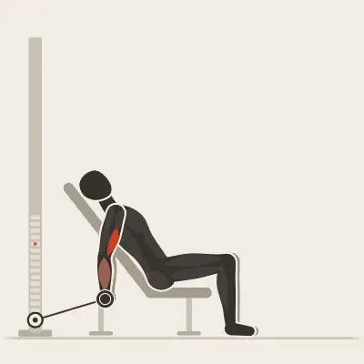 Animation: Incline Cable Curl