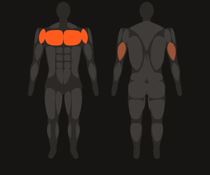 Muscle map: chest, front delts