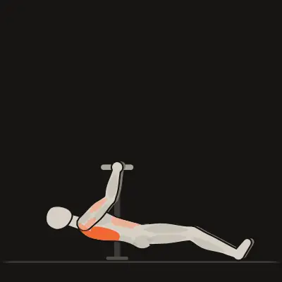 Animation: Inverted Row on Dip Bars