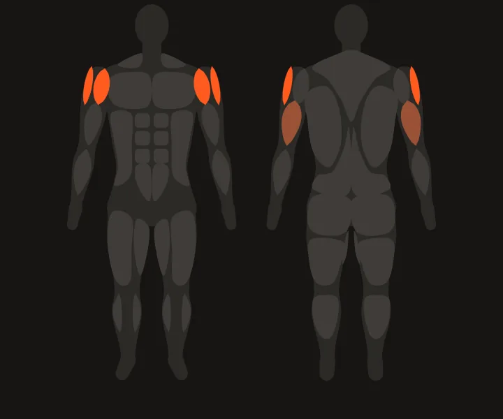 Muscle map: front delts, side delts